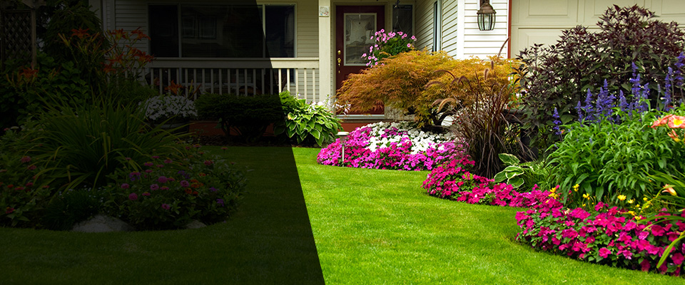 Rockledge Landscapers