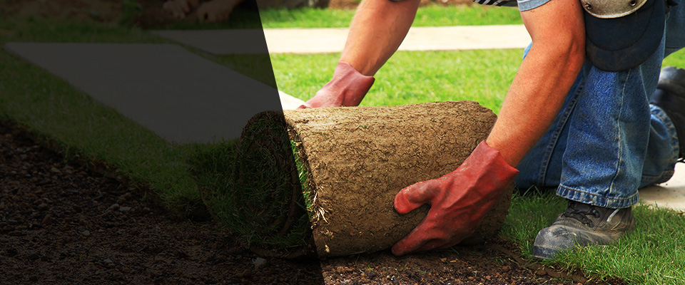 Rockledge Landscapers